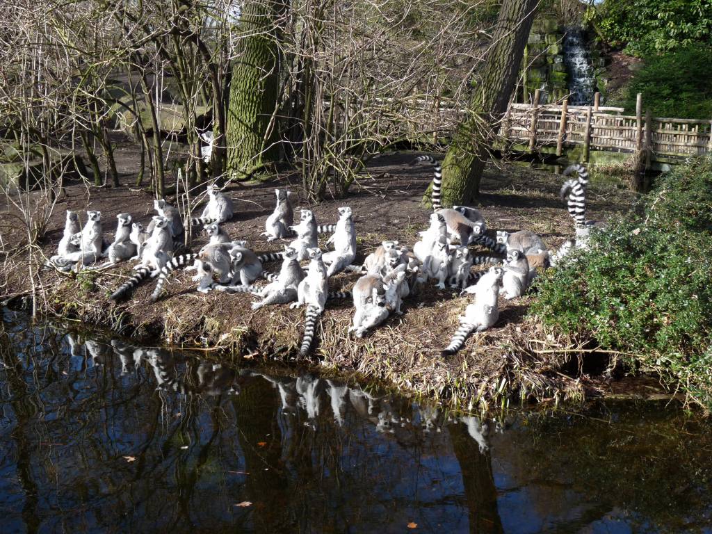 Click to see next photo