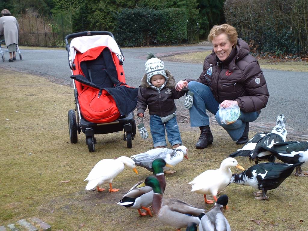 Click to see next photo