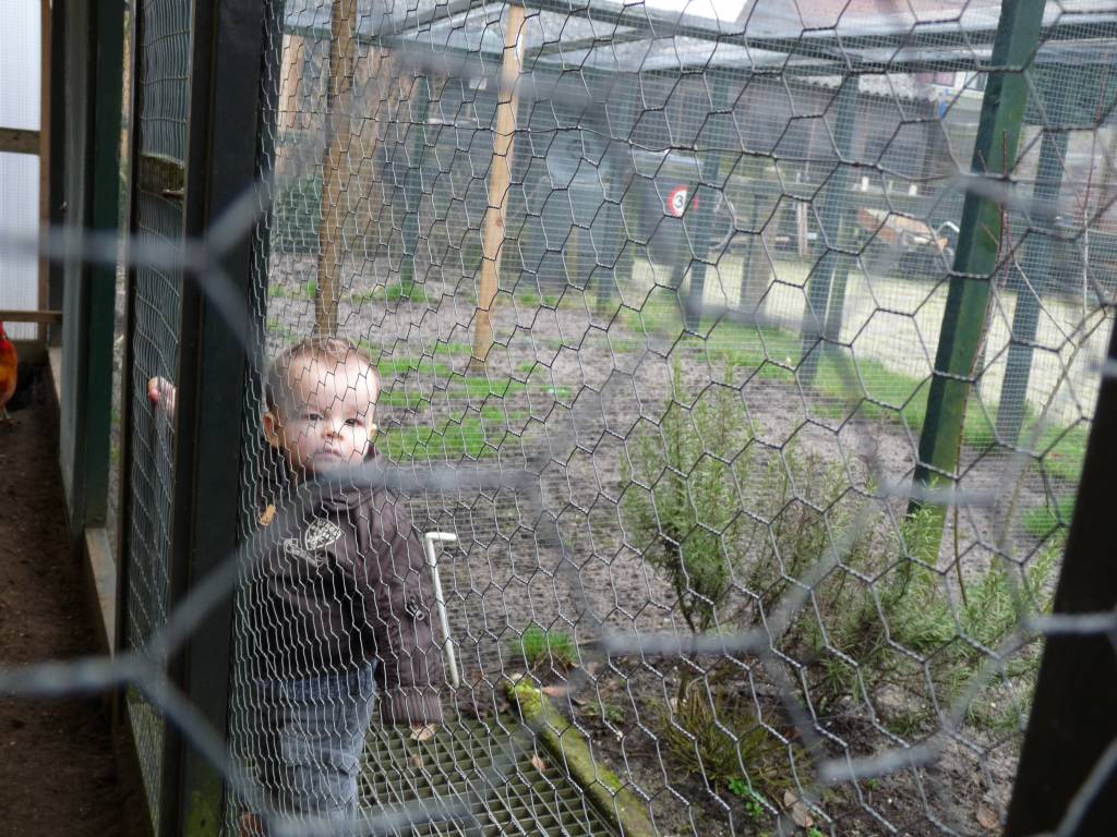 Click to see next photo