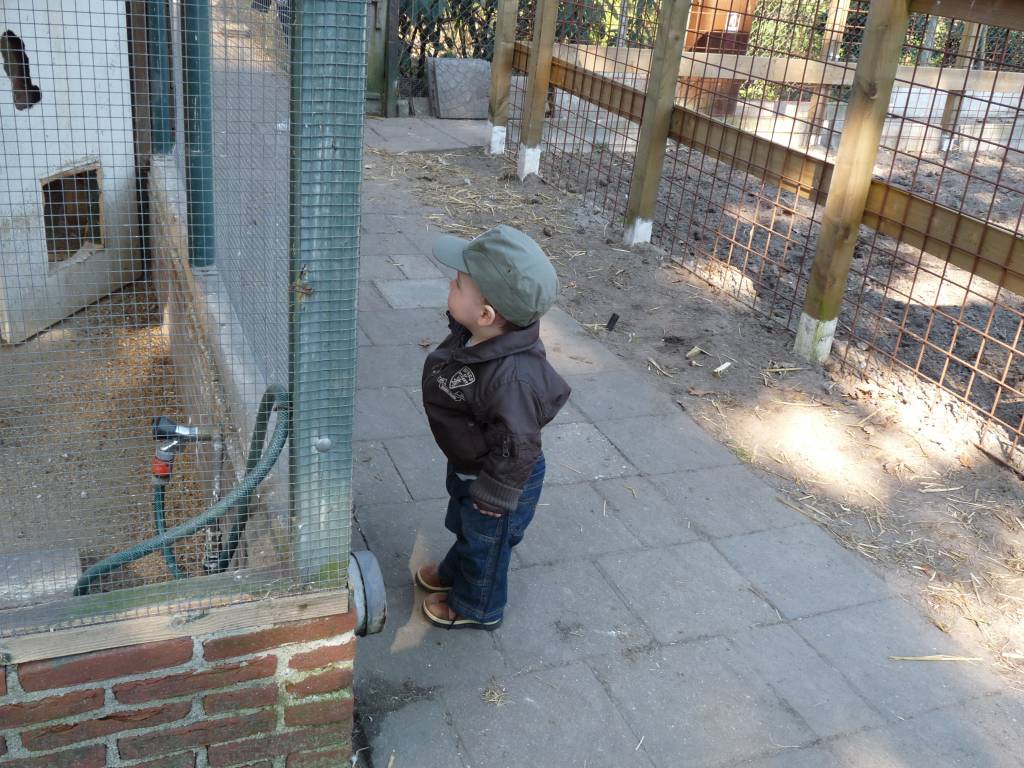 Click to see next photo