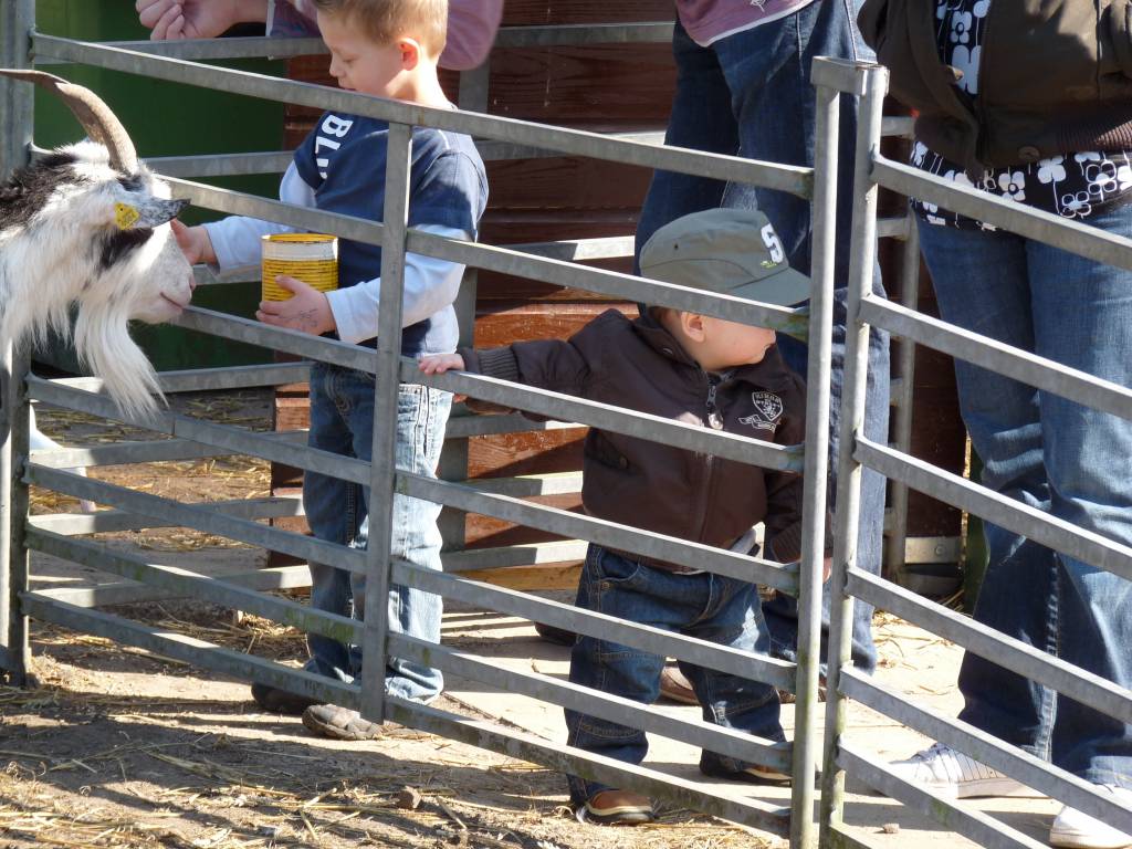 Click to see next photo