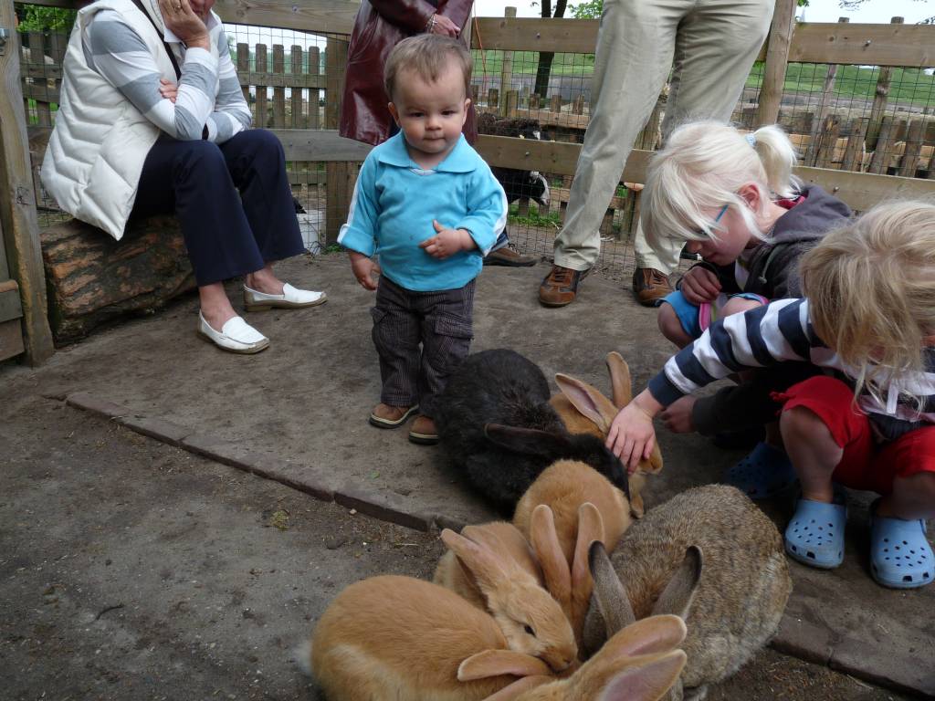 Click to see next photo