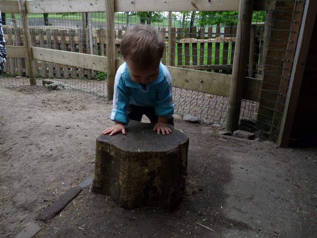 Click to see next photo