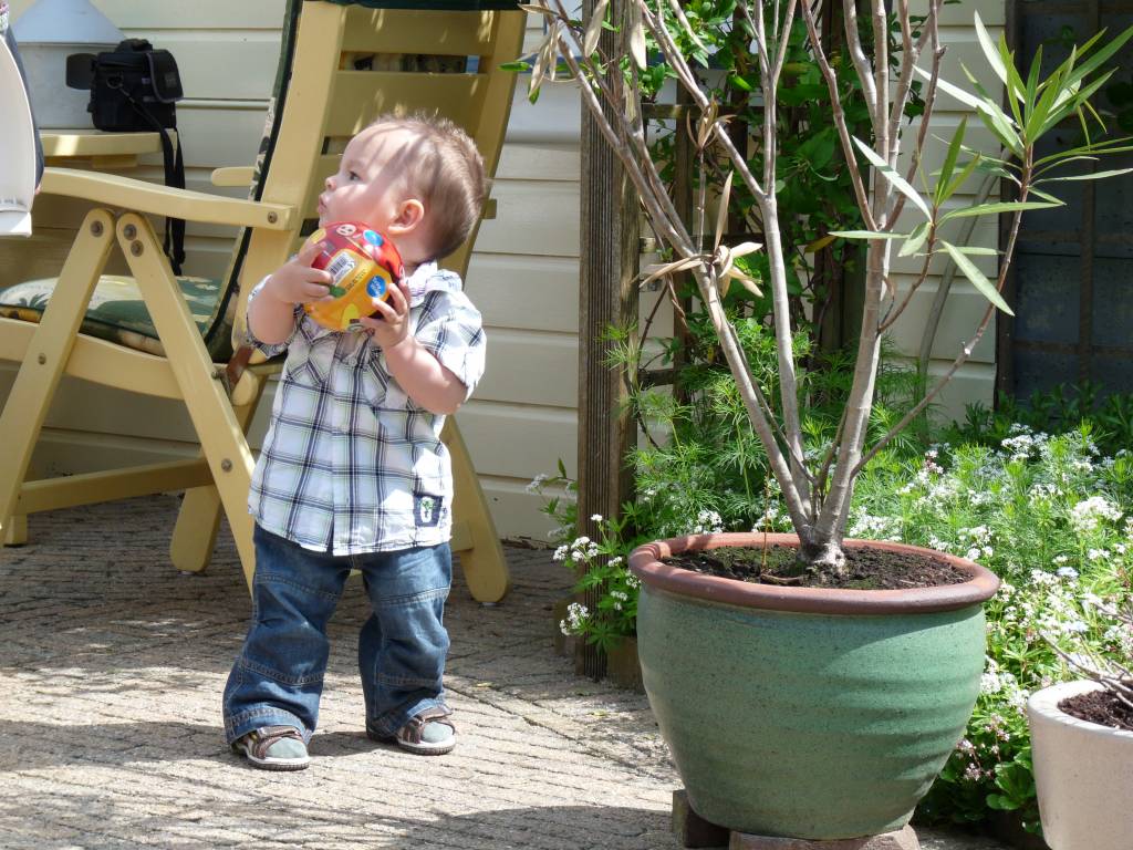 Click to see next photo