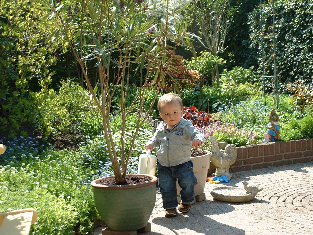 Click to see next photo