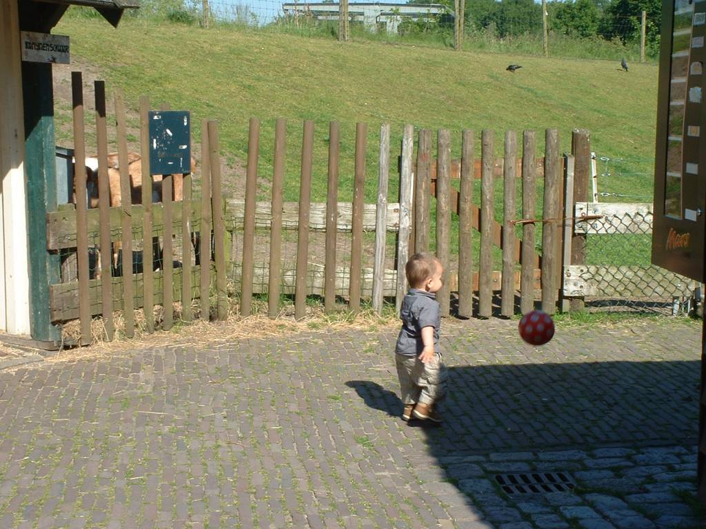 Click to see next photo