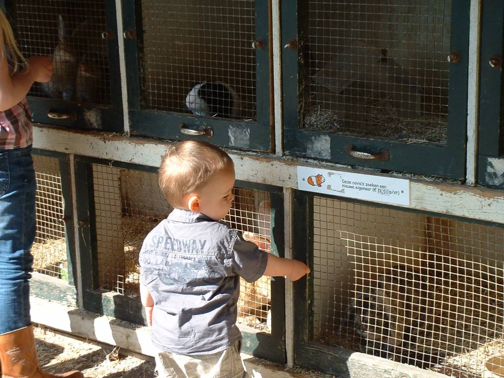 Click to see next photo