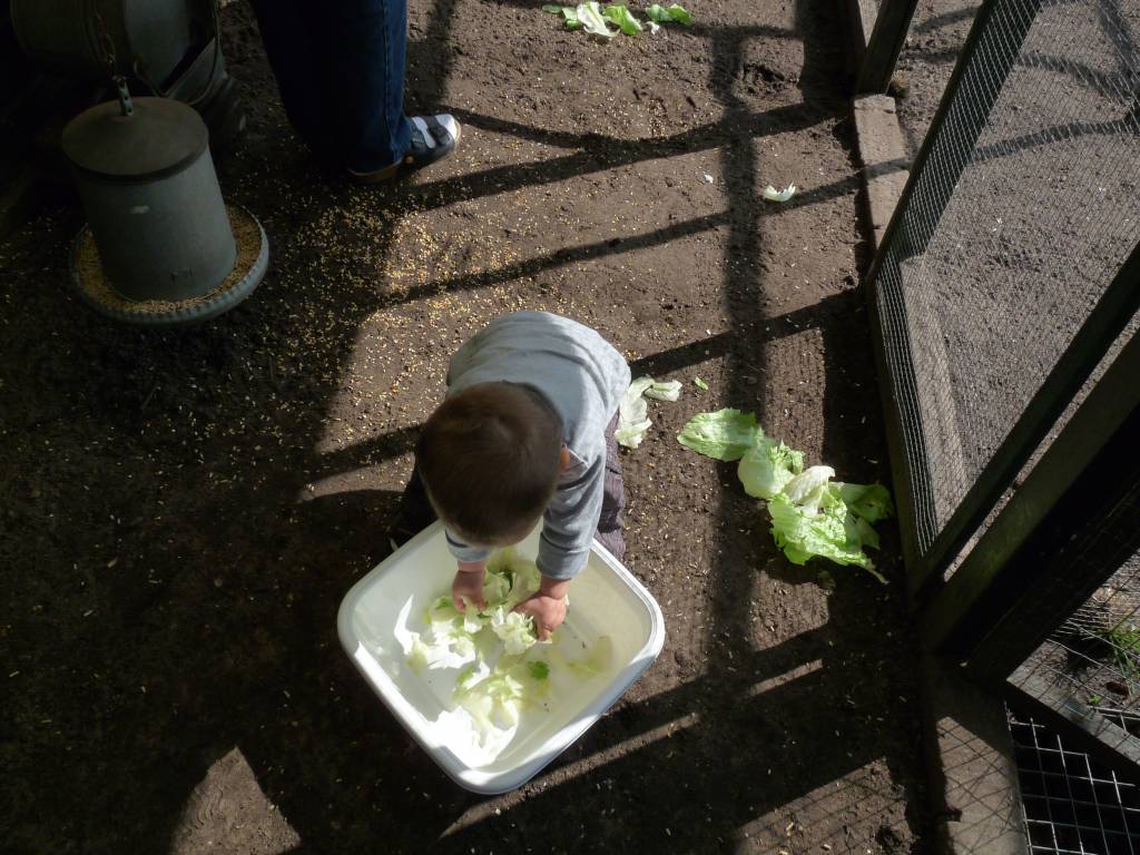 Click to see next photo