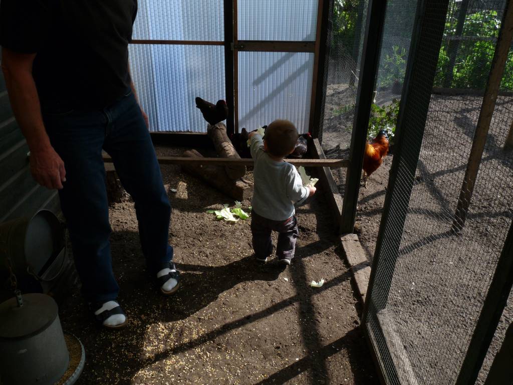 Click to see next photo