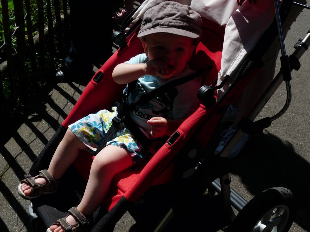 Click to see next photo