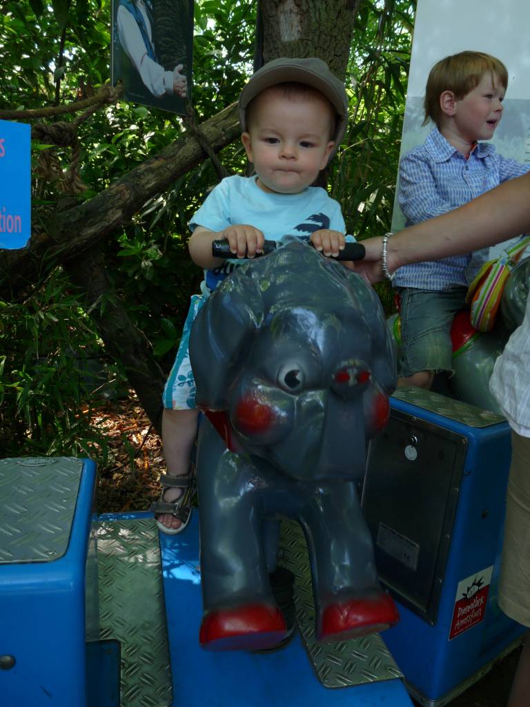 Click to see next photo