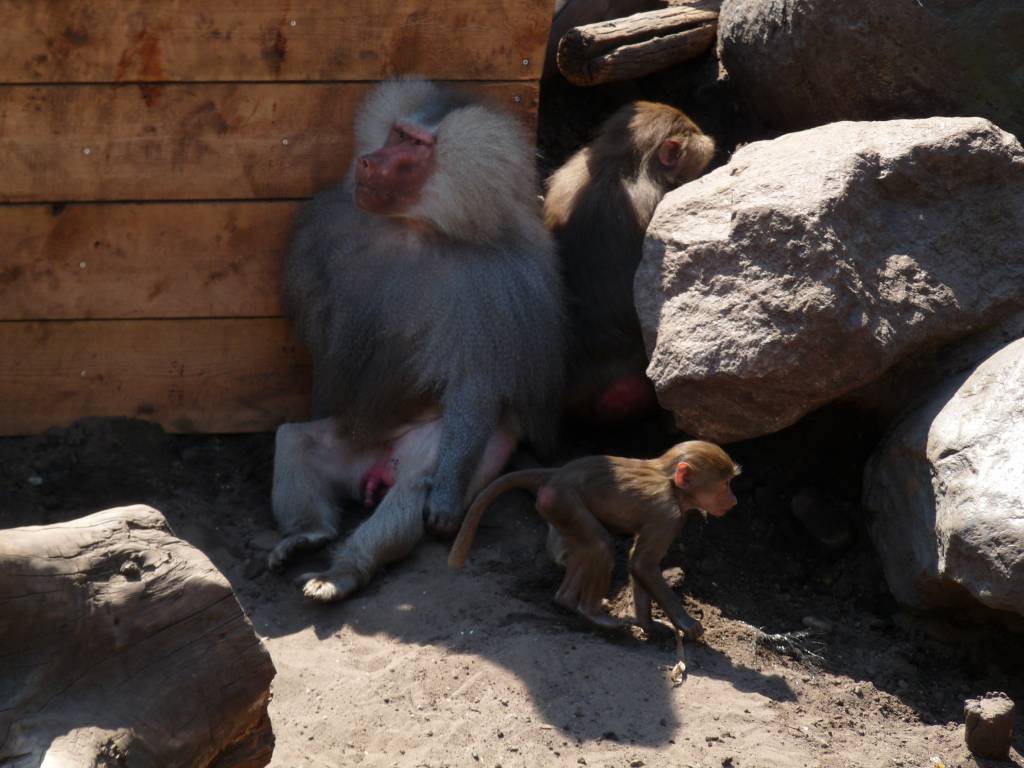 Click to see next photo