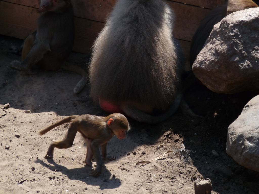 Click to see next photo