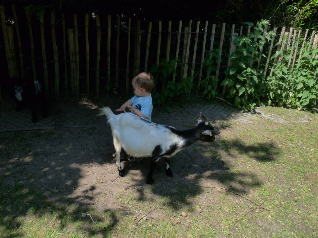 Click to see next photo