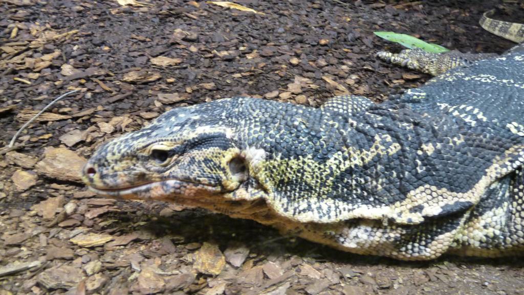 Click to see next photo