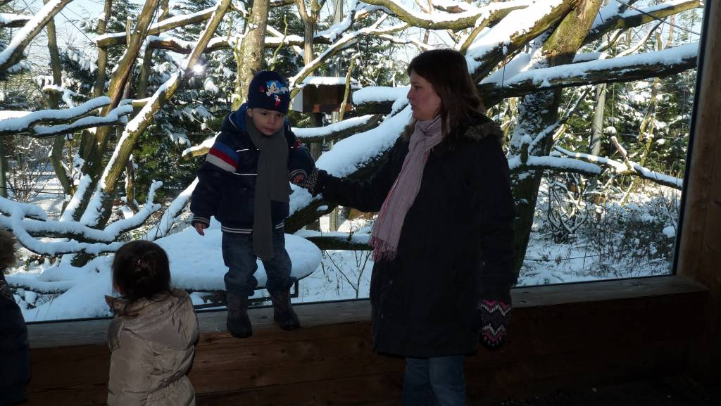 Click to see next photo