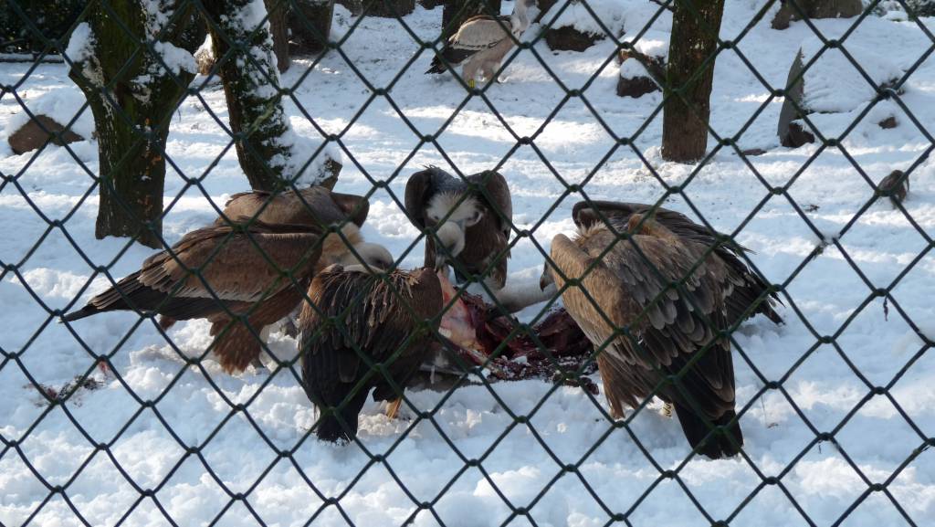 Click to see next photo