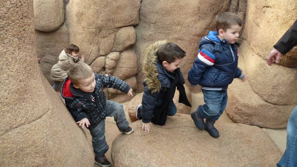 Click to see next photo