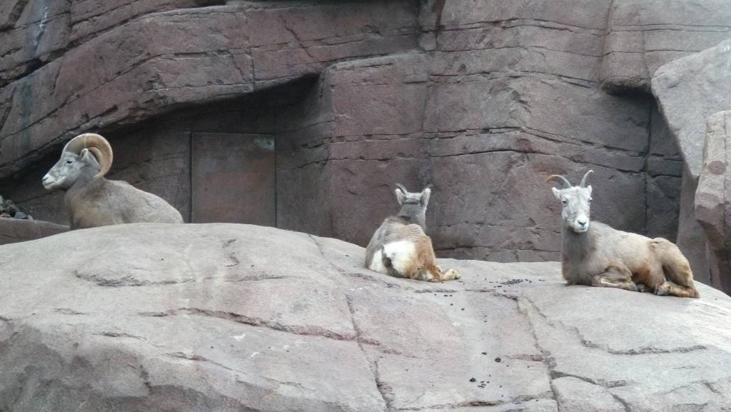 Click to see next photo