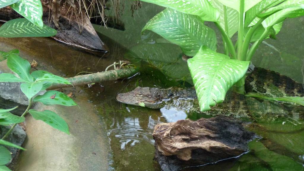 Click to see next photo