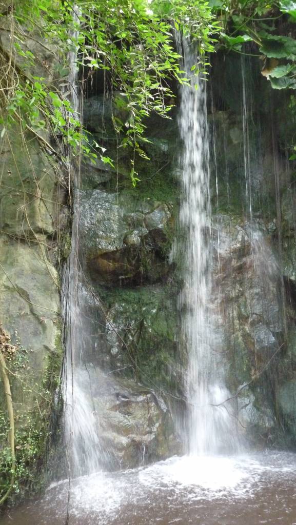 Click to see next photo