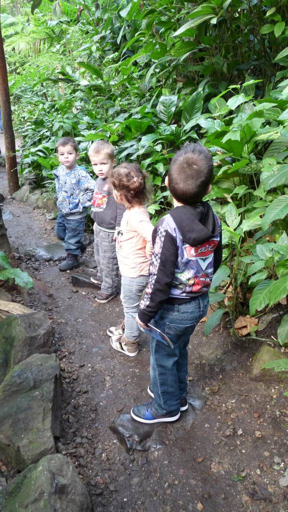 Thomas de Trein - musical