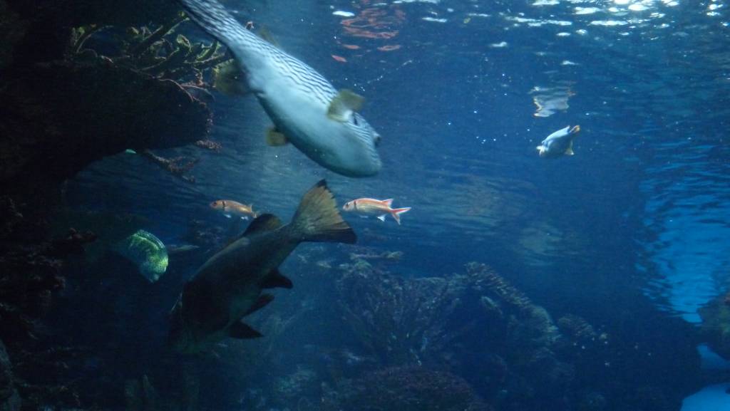 Click to see next photo