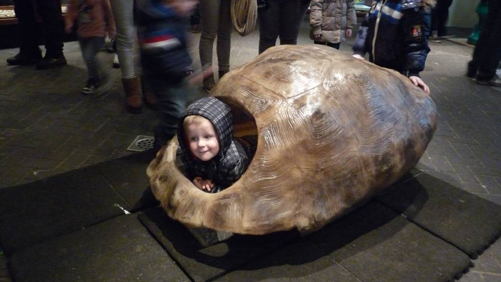 Click to see next photo